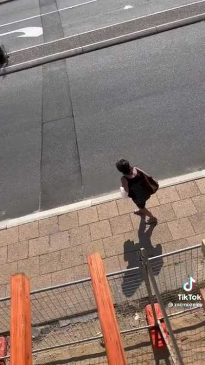 Find one of these creatures at least once a month here in Down Under.