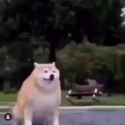 Adiós