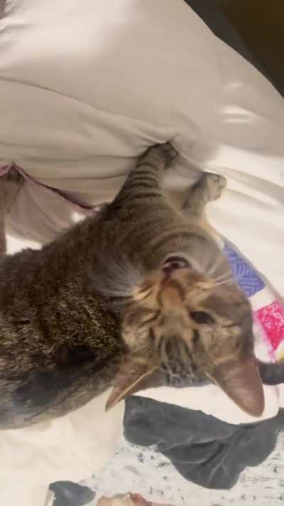 Haven’t posted my screaming baby in a while (sorry my phones upside down lol)