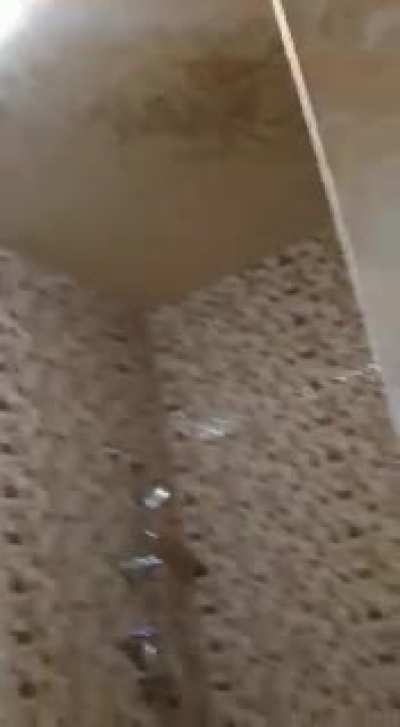 Poo geyser in my bathroom in this morning.