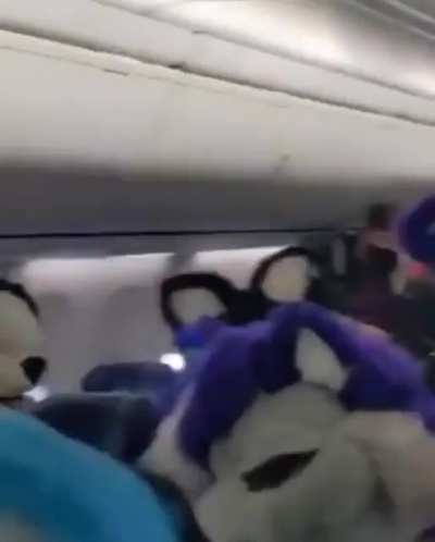 furry