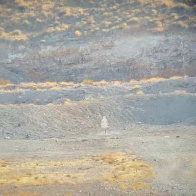 Bullet wake, 1200 yards