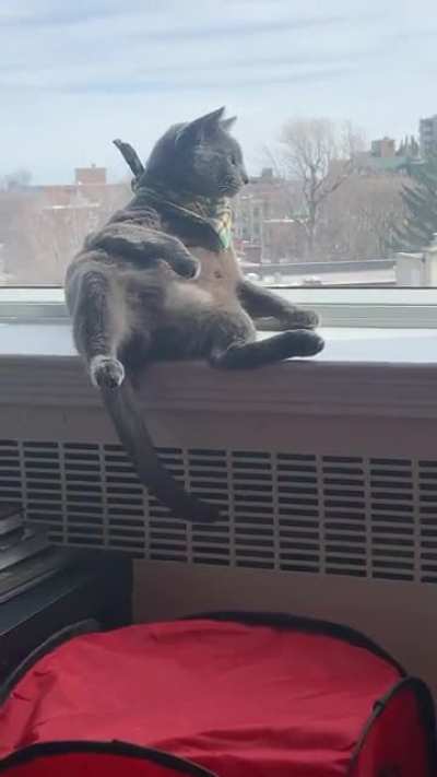 Julius C. enjoying the view