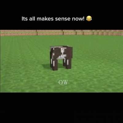 That make sense.