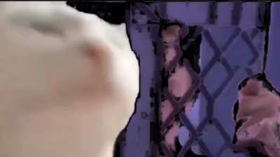 Carti cat carti cat