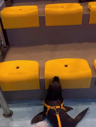 是吉米公主<wbr>吖 on 小红书