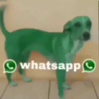WATSSAP? 🤨🏳️‍🌈<wbr>⚠️NEW SEX GENERATOR APK DOWNLOAD no virus 🇸🇦🍗