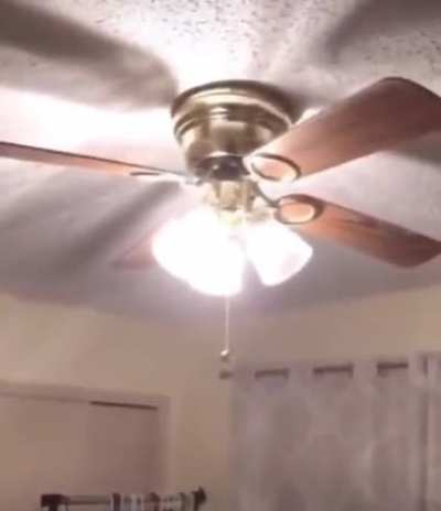A fan is a fan. No matter how many