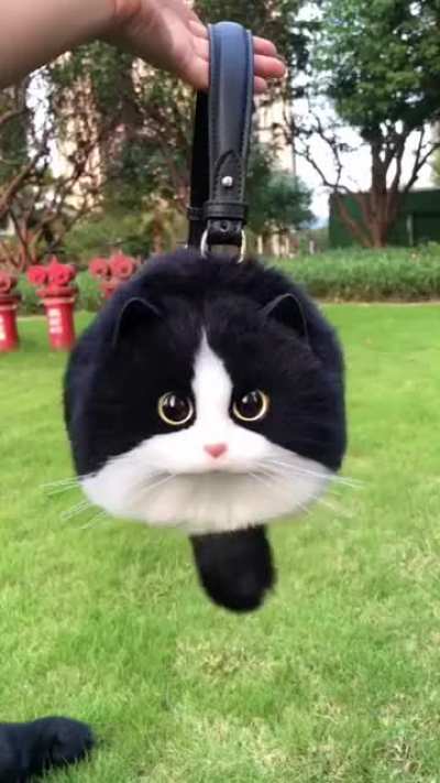 cat bags