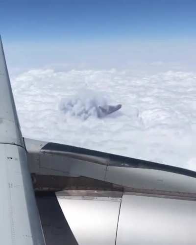 a totally normal flight…