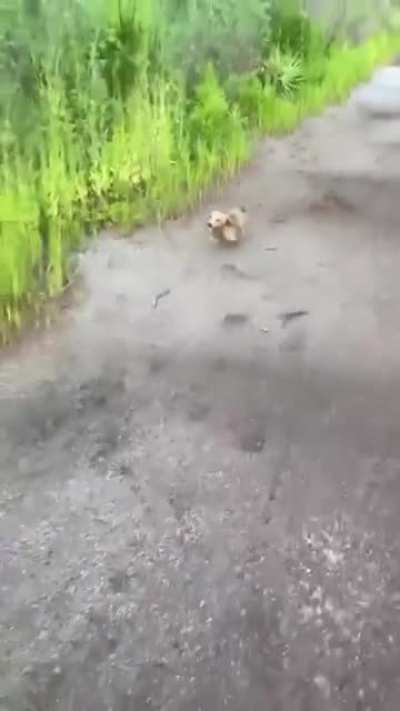 Передышка