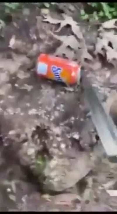A game of real or cake