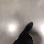 Kept hearing random music while I was shopping with my Wife. Checked her Snapchat when we got home to see this.