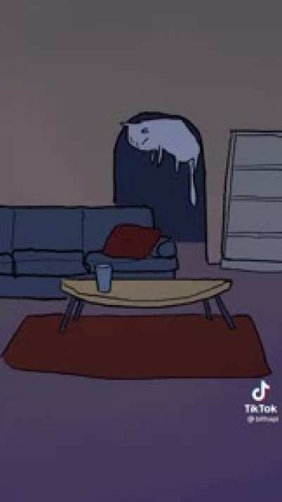 Cat’s at 3 AM