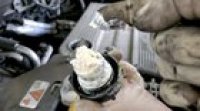 Forbidden Cool Whip