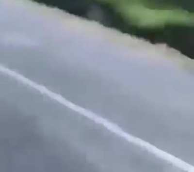 SCP-682 neutralized by Alabama Man