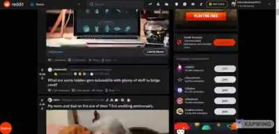 The 
