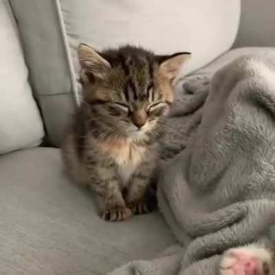 Criminal dreaming about smol crimes