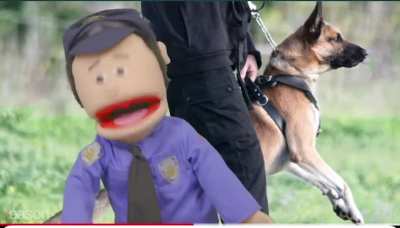 Fun Facts About the Police