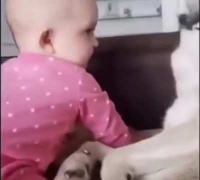 Fed up with this Tiny hooman