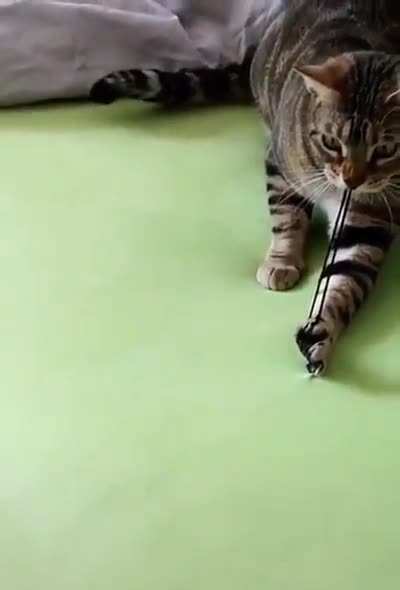 Ready, aim, fire!