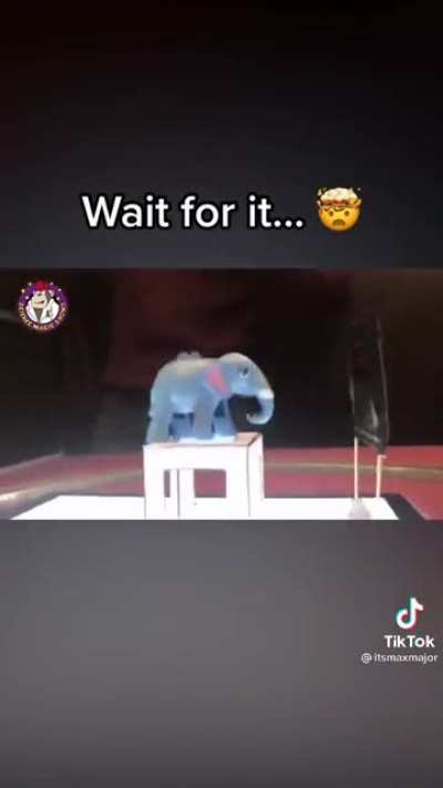 You have to see this!!