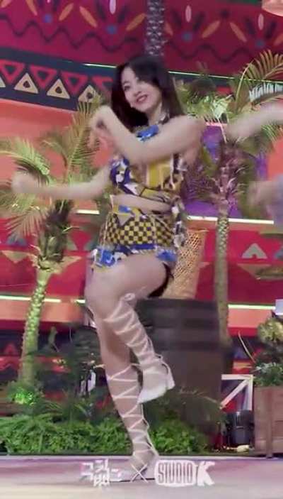 PARK JIHYO