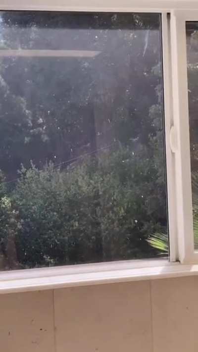 🔥 Spectacular