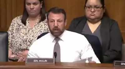 Senator Mullin tries to fight a witness at a hearing
