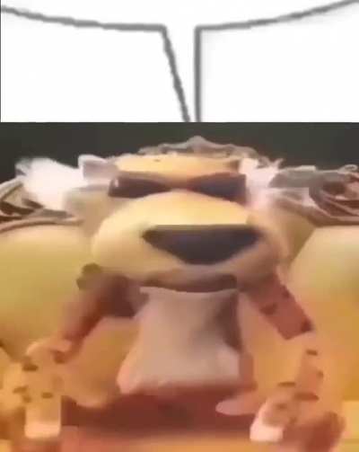 Tô aqui no matagal