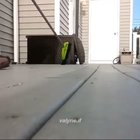 I don’t think a broom was the weapon of choice in this battle