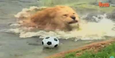 He do be ballin'