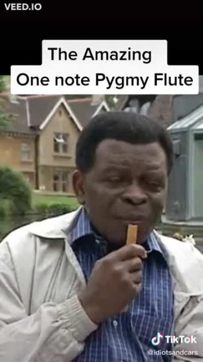 The pygmy flute
