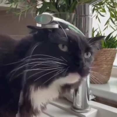 an attempt was made