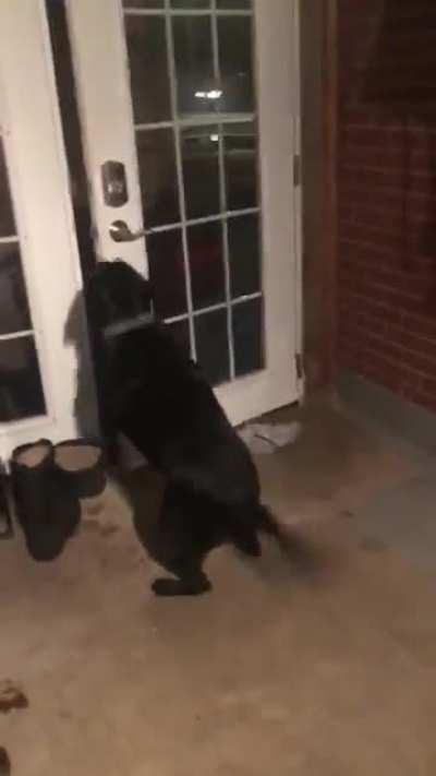 When Dad gets home
