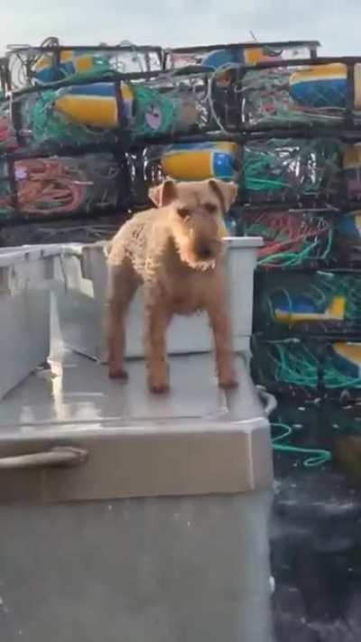 Sea legs!