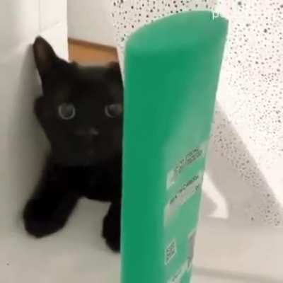 Restroom Assistant