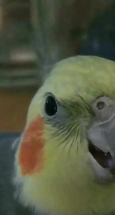 Eeeeeeeeeeeeee