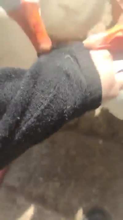 Female French soldier single-handedly fends off an attack from GEESE fighters
