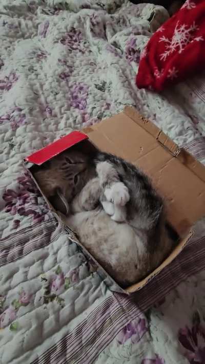 TIGHTPUSSY