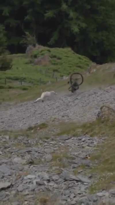 First time I've seen ragdoll physics irl