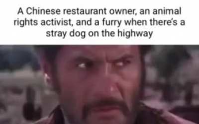 I'm 15 and this is yeet