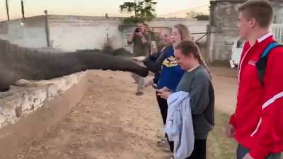 A visit to the Zoo