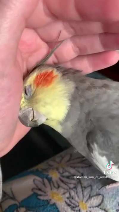 This melts my heart