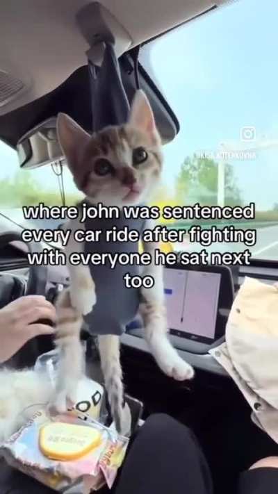 The humble car freshener:
