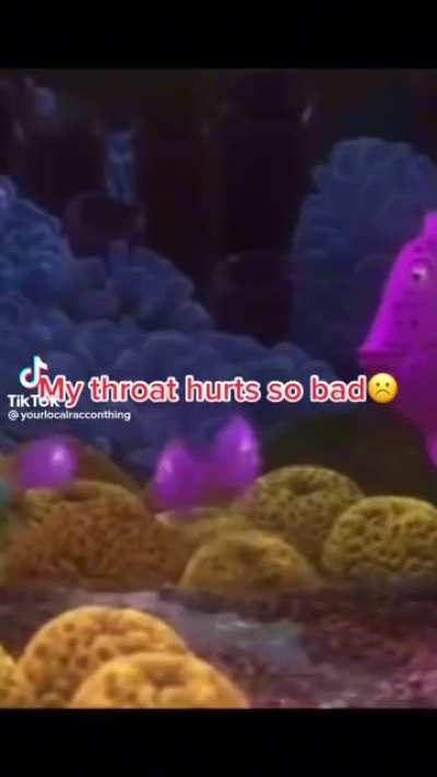 Ah yes, the sponge beds.