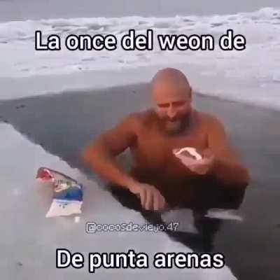 Xd