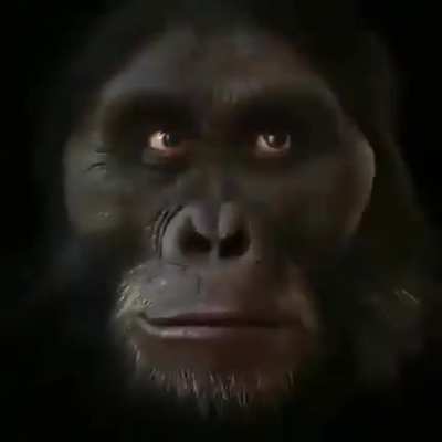 rejeite a humanidade, seja um macaco