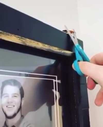 Anti wasps