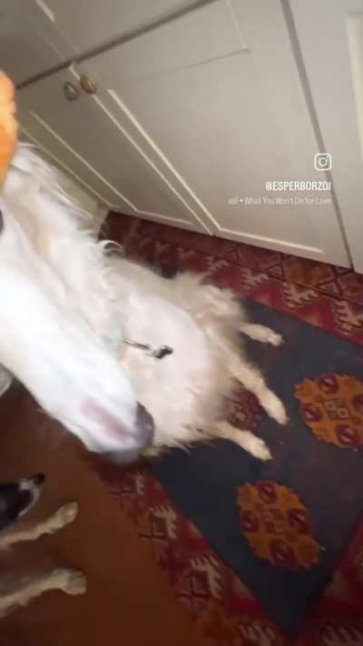 Pianotarra?